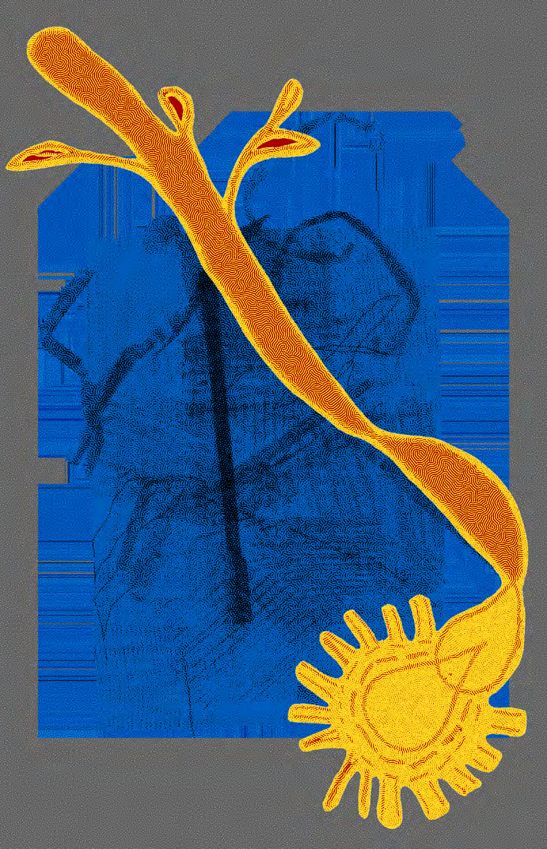 NO ASK, NO REPLY, PEACE FLOWS BY, image 8